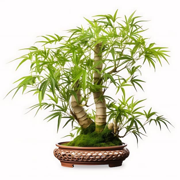 My Guiding Principles